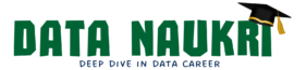 Data Naukri Logo